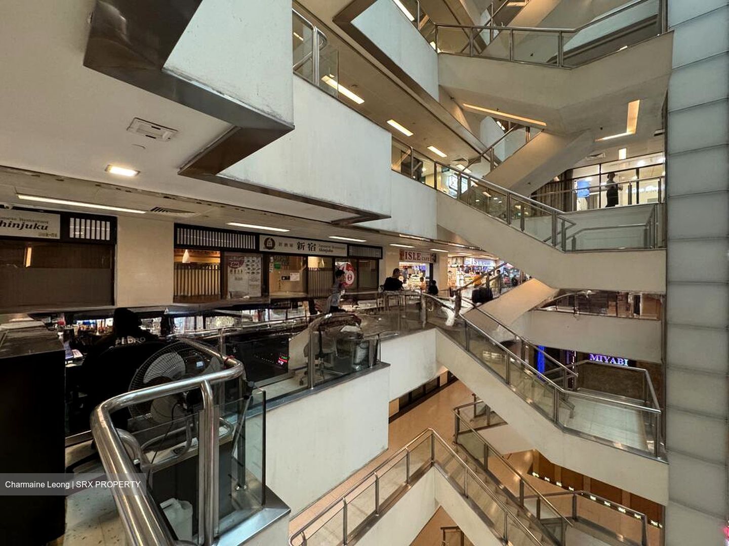 Cuppage Plaza (D9), Shop House #496945531
